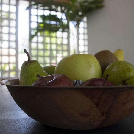 Mango Mansion - International Hostel San Juan Dış mekan fotoğraf
